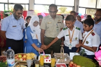 Fruit Festival 2024